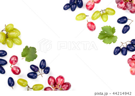 green pink and blue grapes with leaves isolated on the white background with copy space for your green pink and blue grapes with leaves isolated on the white background with copy space for your 44214942