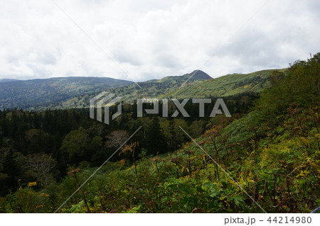 行ってみよう秋の八幡平 44214980