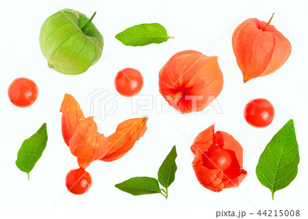 physalis with leaves isolated on white background. Top view. Flat lay pattern 44215008