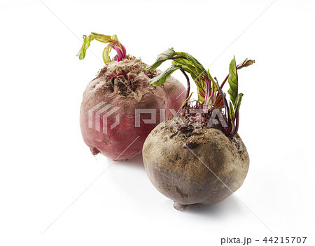 ビーツとビーツ キオッジャ (beet and beet chioggia) 44215707
