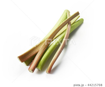 ルバーブ (rhubarb) ルバーブ (rhubarb) 44215708