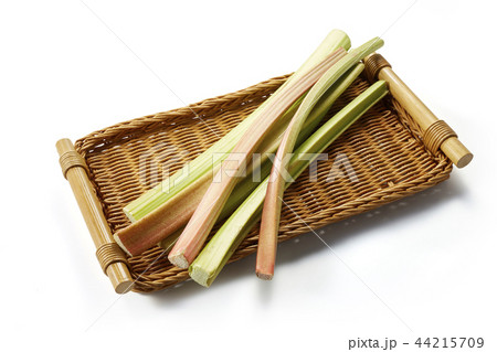 ルバーブ (rhubarb) 44215709