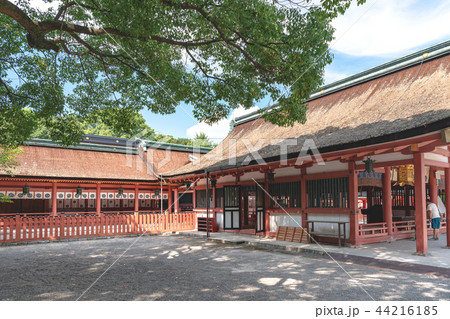 津島神社の風景 44216185