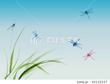Dragonflies flying over the grass and blue summer sky. Tradition Dragonflies flying over the grass and blue summer sky. Tradition 44216347