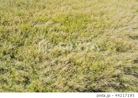 ゲトゴル 生態公園 建築 44217195