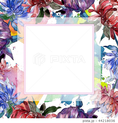Watercolor colorful aster flower. Floral botanical flower. Frame border ornament square. 44218036