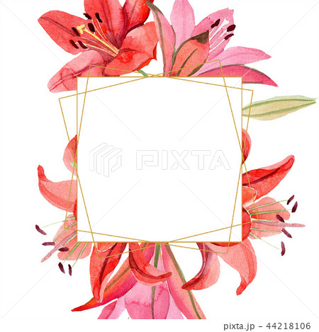 Watercolor red lily flower. Floral botanical flower. Frame border ornament square. Watercolor red lily flower. Floral botanical flower. Frame border ornament square. 44218106