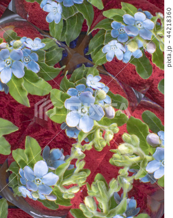 フォトアート 44218360