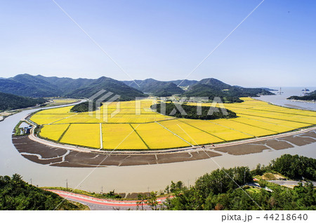 風景 自然 屋外 44218640
