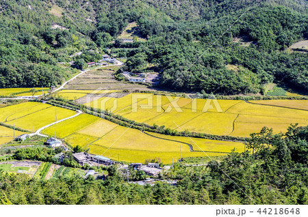 風景 自然 屋外 44218648