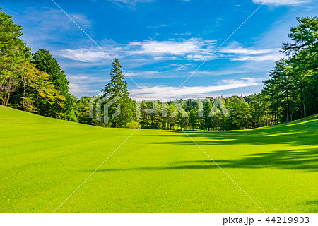 ゴルフ場 ゴルフコース フェアウェイ 44219903