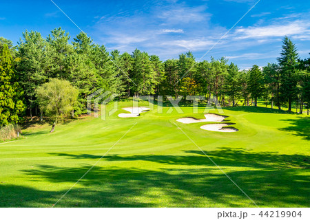 ゴルフ場 ゴルフコース フェアウェイ 44219904