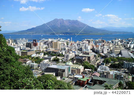 噴火も無く穏やかな桜島と鹿児島市の街並み 44220071