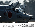 ラストチャンス(T-2) 44220185
