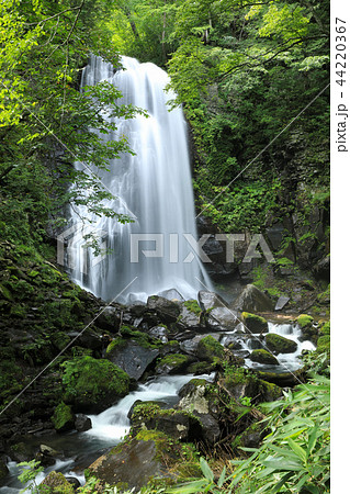 小野川不動滝 44220367