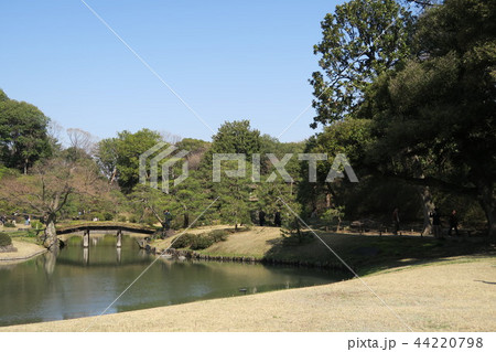 文京区六義園の春の風景 文京区六義園の春の風景 44220798