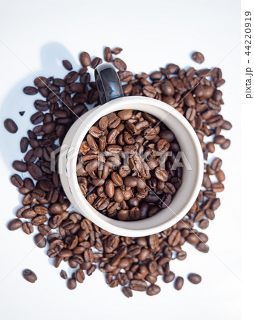 コップ カップ マグカップ 44220919