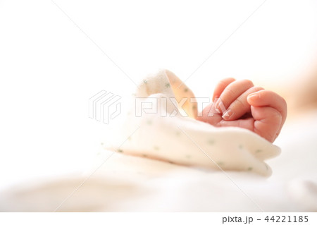 赤ちゃんの手 赤ちゃんの手 44221185