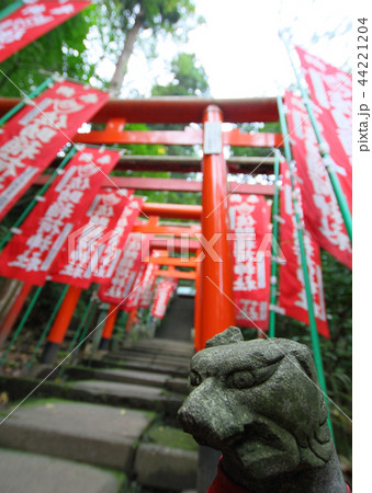 赤い鳥居 44221204