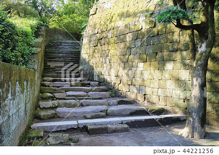 仙厳園 石階段 仙厳園 石階段 44221256