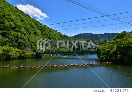 相模湖大橋×相模湖 44221476