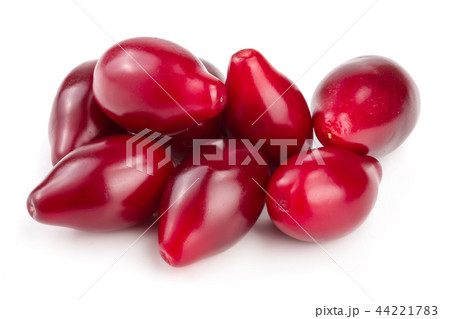 Red berries of cornel or dogwood isolated on white background 44221783