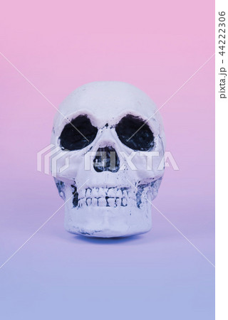 Skull on trendy pastel pink background. Skull on trendy pastel pink background. 44222306