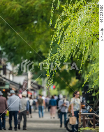 倉敷美観地区 倉敷美観地区 44222600