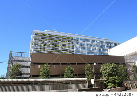 町田市役所 44222687