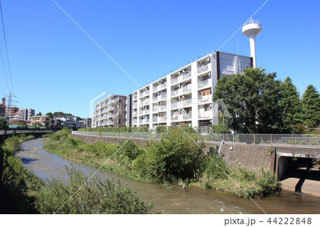 町田市、境川 44222848