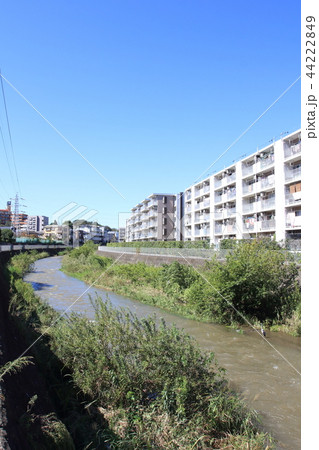 町田市、境川 44222849