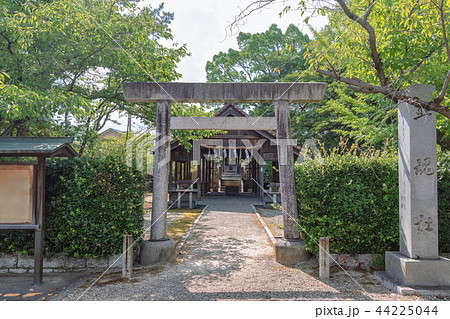 津島神社 照魂社 津島神社 照魂社 44225044