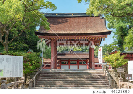 津島神社 南門 津島神社 南門 44225399