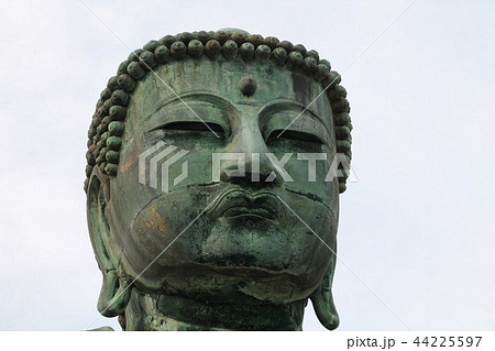 高徳院鎌倉大仏の顔 高徳院鎌倉大仏の顔 44225597