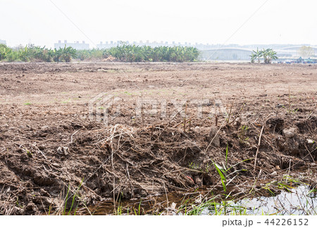 Land reclamation for built the high condominium. 44226152