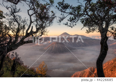 Mount volcano an active with tree frame at sunrise Mount volcano an active with tree frame at sunrise 44226685