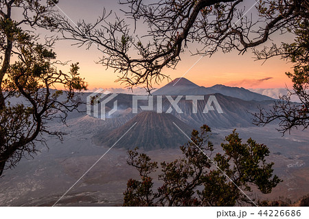 Mount volcano an active with tree frame at sunrise Mount volcano an active with tree frame at sunrise 44226686