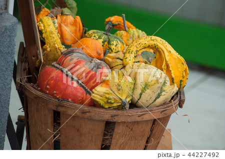 various pumpkins in wooden basket in the street 44227492