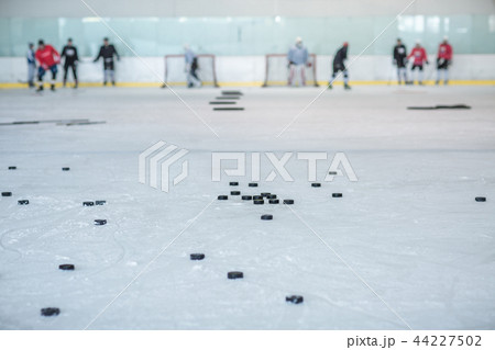 ice hockey training, pucks and players ice hockey training, pucks and players 44227502