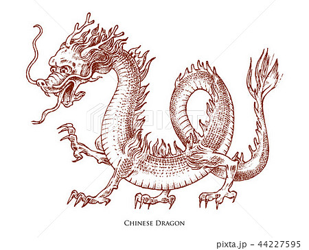 Chinese dragon. Mythological animal or Asian traditional reptile. Symbol for tattoo or label 44227595
