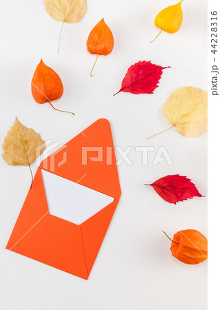 Letter with flying dried flowers and leaves 44228316