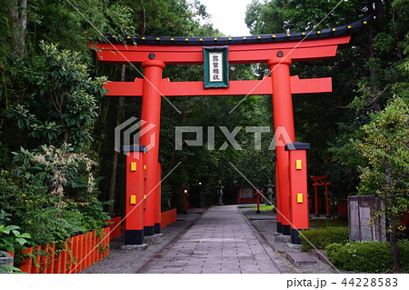 熊野三山　熊野速玉大社　大鳥居 （ 和歌山県 新宮市 ） 44228583