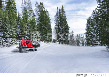 Snow groomers on alpine road through forest 44228766