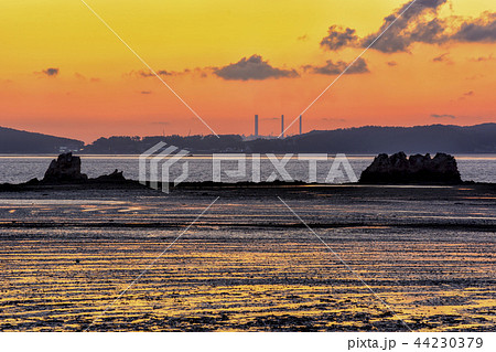 海 黄海 風景 44230379