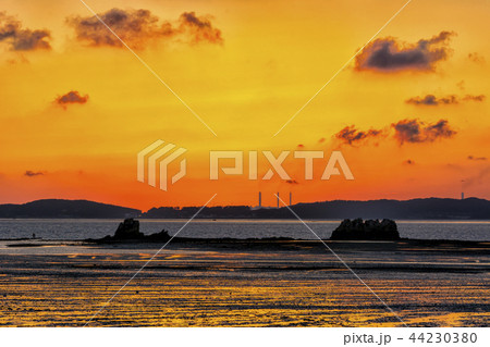 海 黄海 風景 44230380