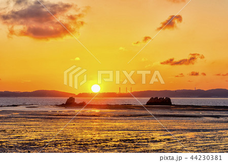 海 黄海 風景 44230381