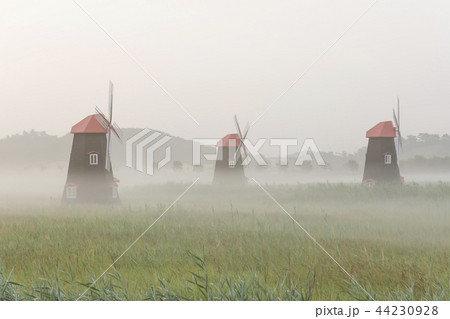 木 南洞 生態公園 44230928