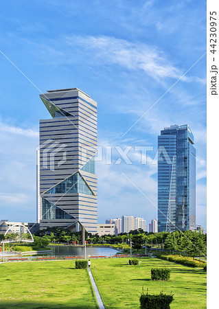 湖 公園 春 44230975