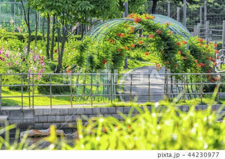 瓦屋 韓屋 ビル 44230977