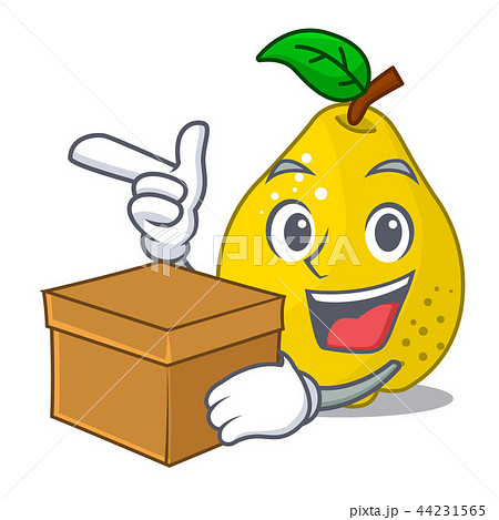 With box bunch cartoon of juicy yellow quinces fruits With box bunch cartoon of juicy yellow quinces fruits 44231565
